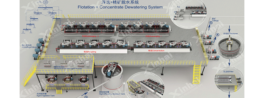 Flotation-and-concentrate-dewatering-system.gif